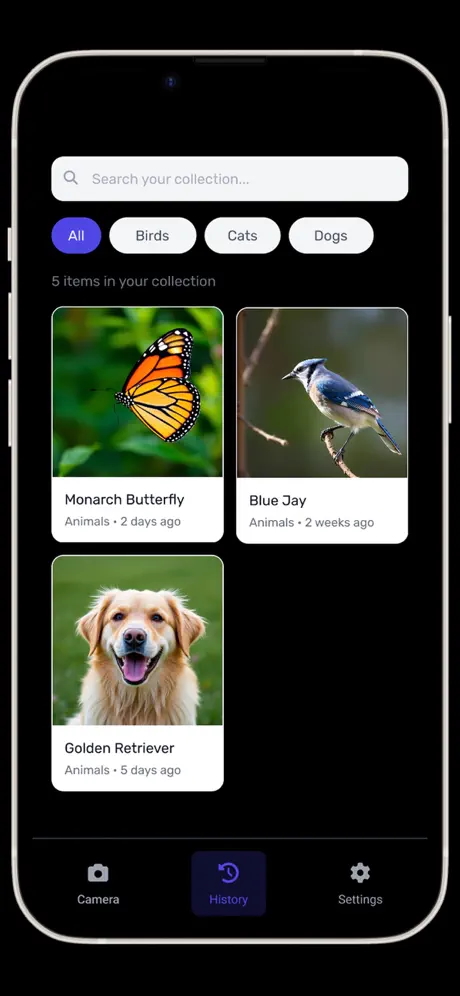 AppSwarm (SWRM) BARAI